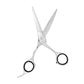 Barber Scissor