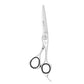 Barber Scissors