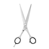 Professional Haircutting Shears