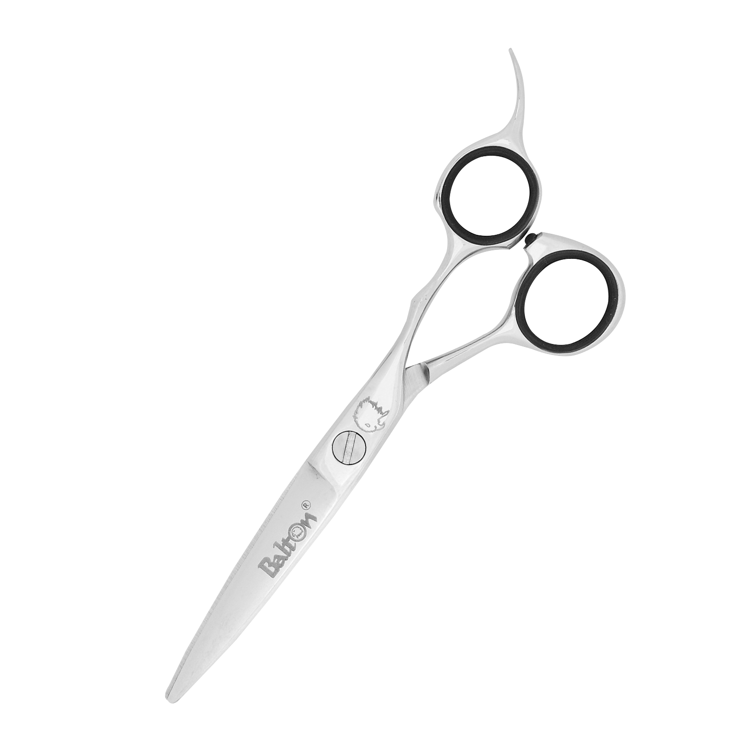 Professional Haircutting Shears