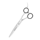 Professional Haircutting Shears