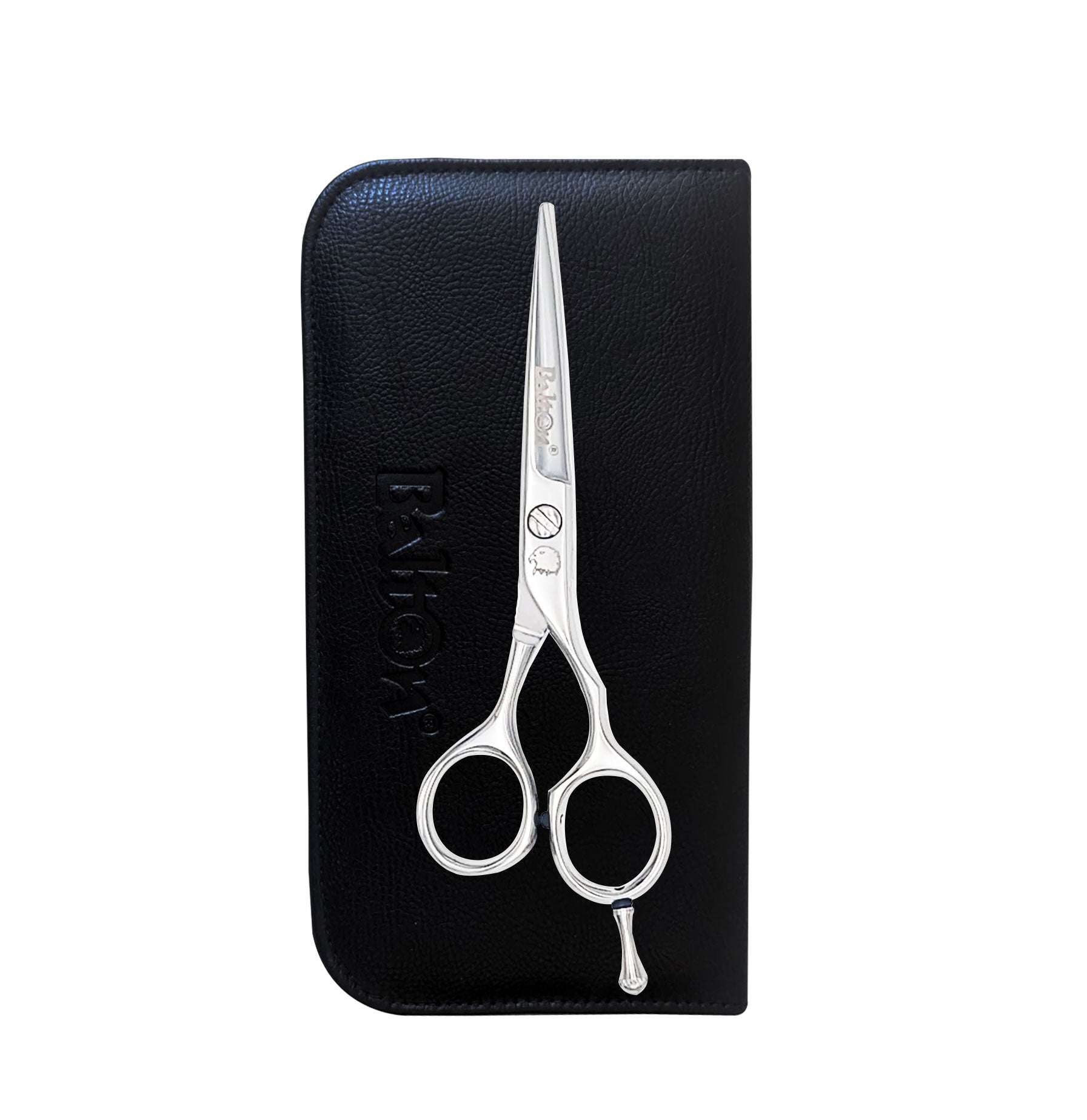 Professional Haircutting Shears