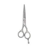 Professional Haircutting Shears