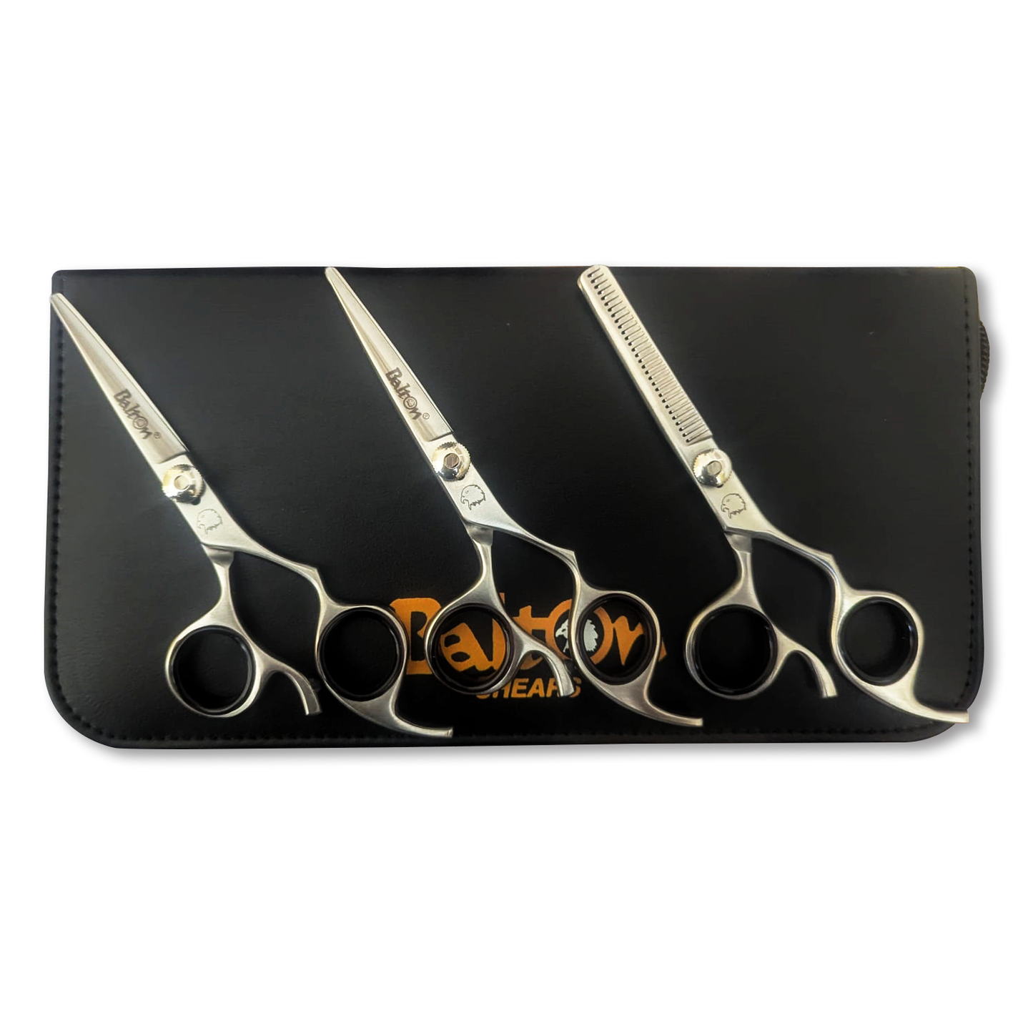 Barber Scissors Set